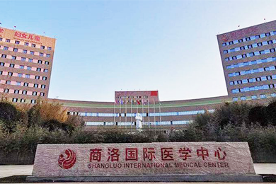 醫(yī)用氣體工程，醫(yī)用分子篩制氧系統(tǒng)
